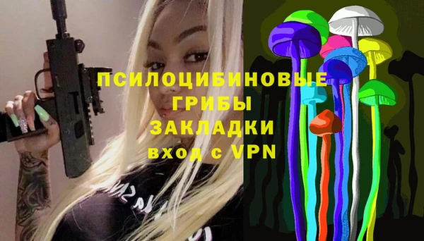 СК Горняк