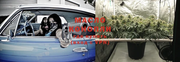 МДПВ Дмитриев