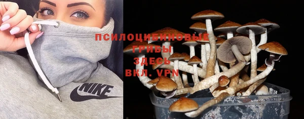 трава Алексин