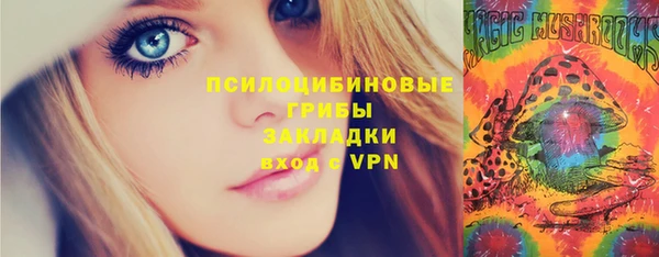 индика Дмитровск