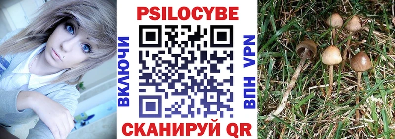 Псилоцибиновые грибы ЛСД  Всеволожск 